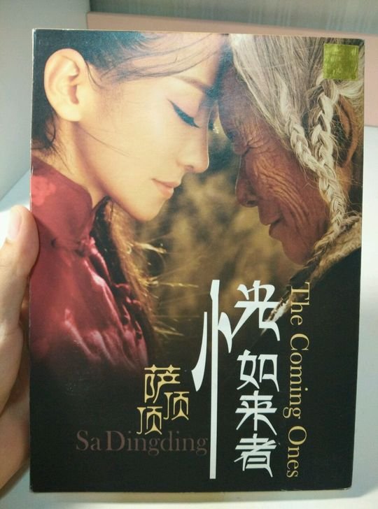 恍如来者的介绍
