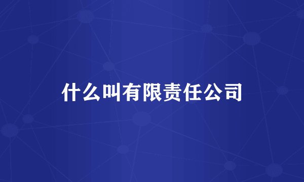 什么叫有限责任公司