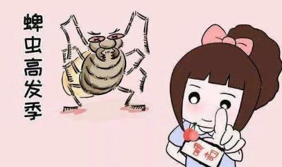 蜱虫怕什么？