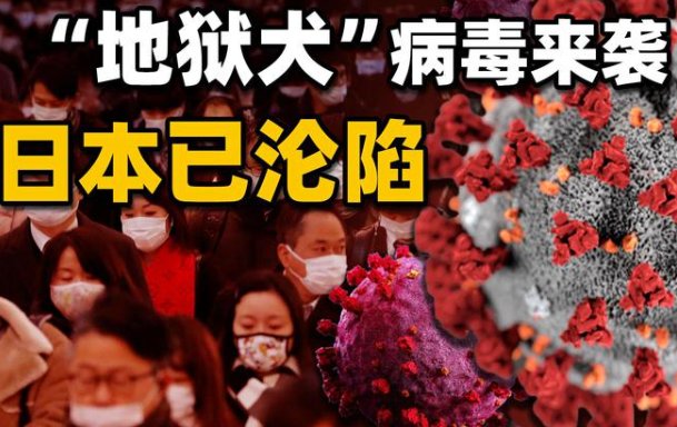 地狱犬是什么意思