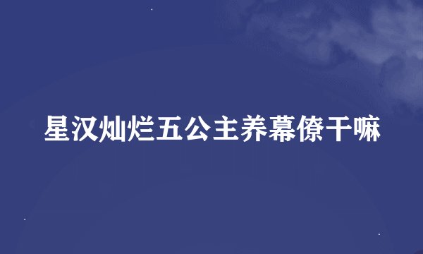 星汉灿烂五公主养幕僚干嘛
