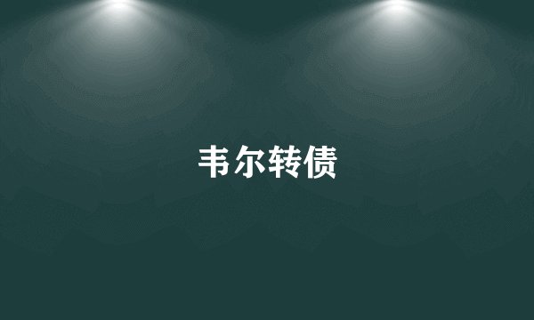 韦尔转债