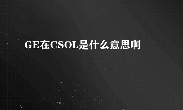 GE在CSOL是什么意思啊