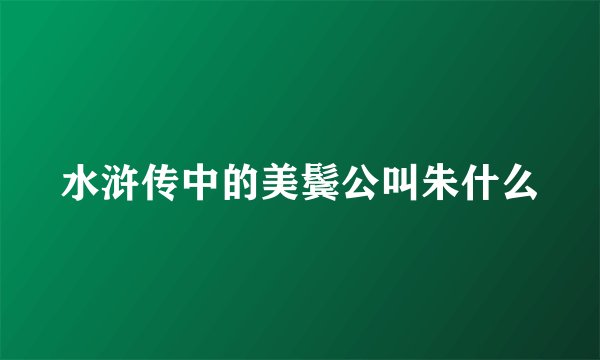水浒传中的美鬓公叫朱什么