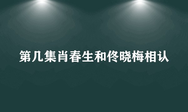 第几集肖春生和佟晓梅相认
