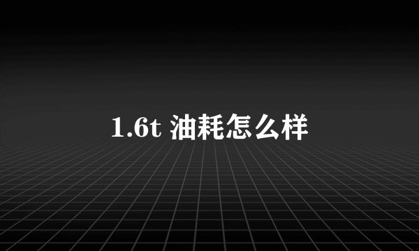 1.6t 油耗怎么样