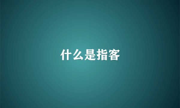 什么是指客