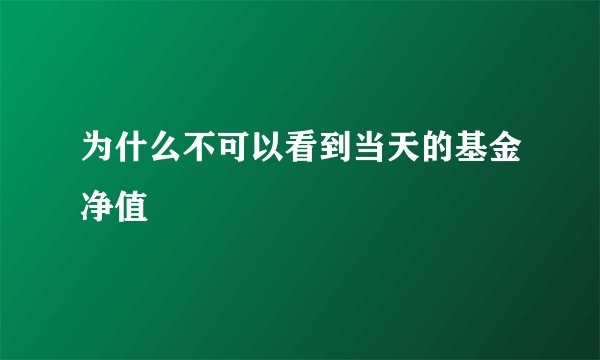 为什么不可以看到当天的基金净值