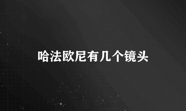 哈法欧尼有几个镜头