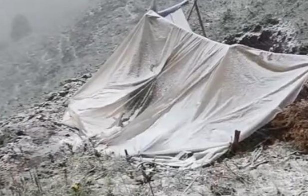 奇景！甘肃肃南七月飞雪，有牧民帐篷被压塌，灾民是否得以安置？