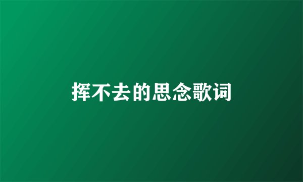 挥不去的思念歌词