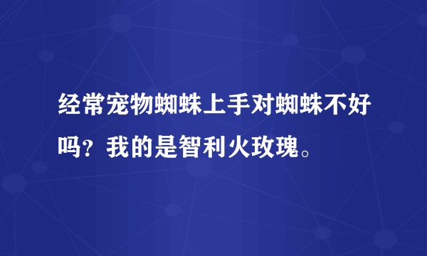 经常宠物蜘蛛上手对蜘蛛不好吗？我的是智利火玫瑰。