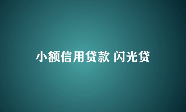 小额信用贷款 闪光贷