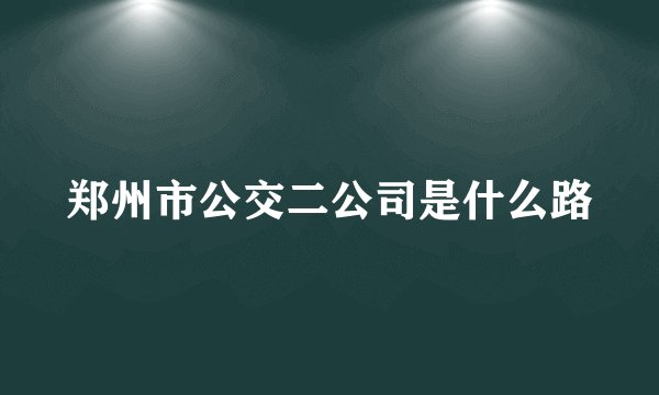 郑州市公交二公司是什么路