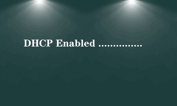 DHCP Enabled ................：NO是什么意思？