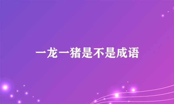 一龙一猪是不是成语