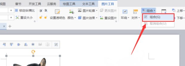 怎么在WPS里把文本框和图片组合在一起