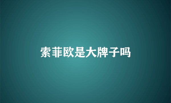 索菲欧是大牌子吗