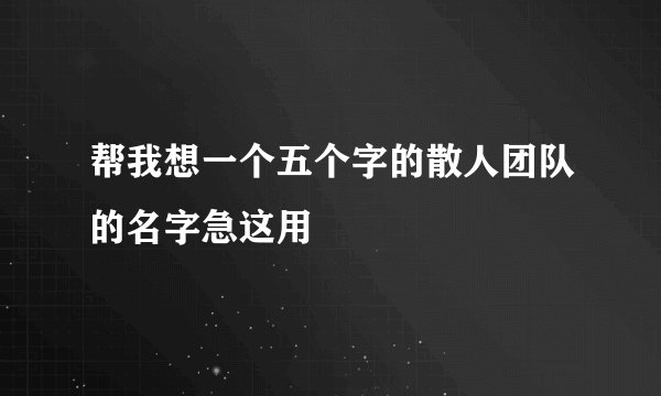 帮我想一个五个字的散人团队的名字急这用