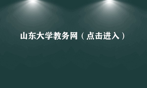 山东大学教务网（点击进入）