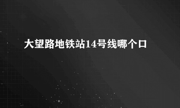 大望路地铁站14号线哪个口