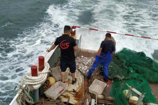 下海什么意思