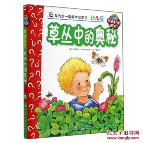 伊姆加德的生平经历