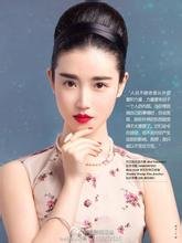 张辛苑的人物经历