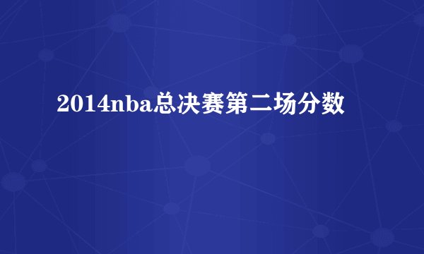 2014nba总决赛第二场分数