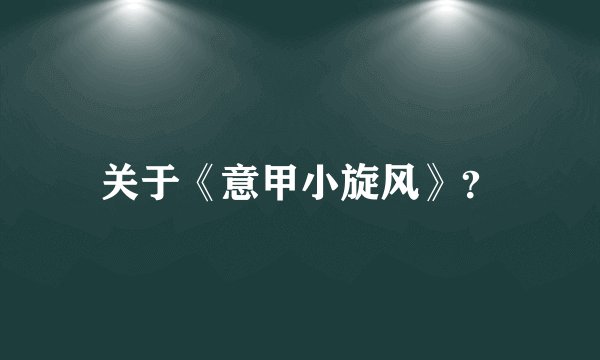 关于《意甲小旋风》？