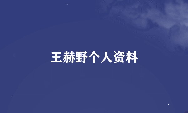 王赫野个人资料