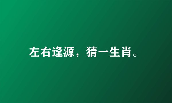 左右逢源，猜一生肖。