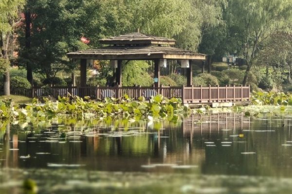 南京适合亲子游十大地方