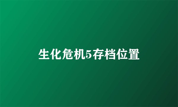 生化危机5存档位置
