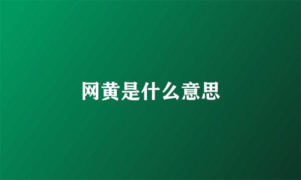 网黄是什么意思