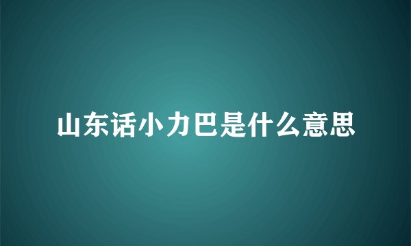 山东话小力巴是什么意思