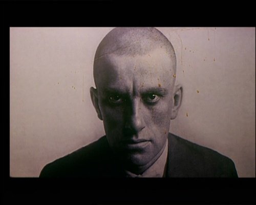 像鸡毛一样飞的评价