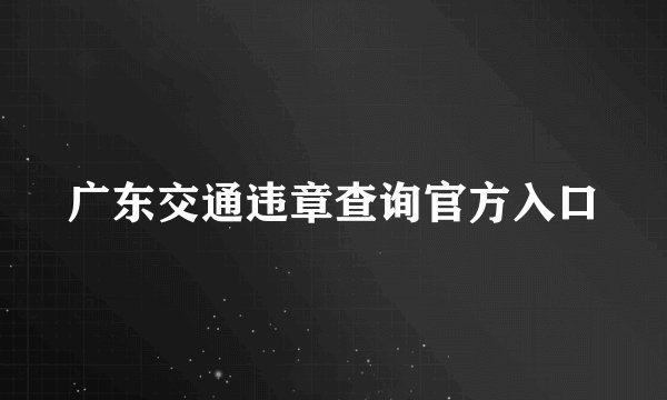 广东交通违章查询官方入口