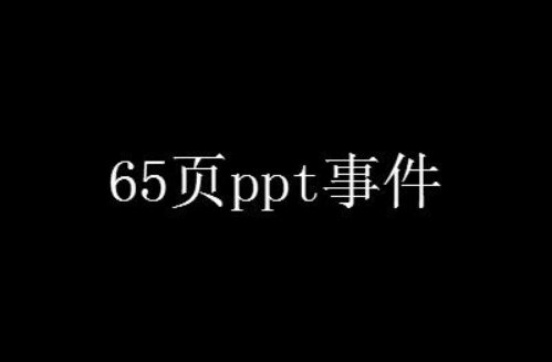 女海王ppt出自哪个梗