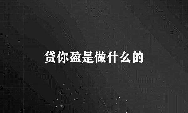 贷你盈是做什么的