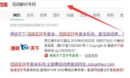怎么查信鸽的足环号码？