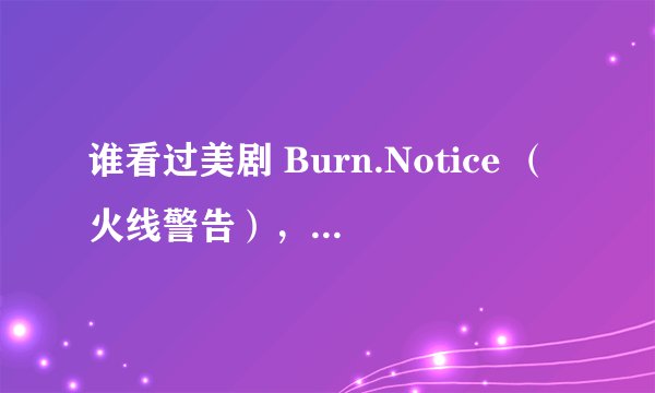谁看过美剧 Burn.Notice （火线警告），什么风格？