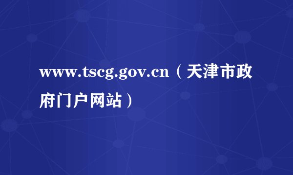 www.tscg.gov.cn（天津市政府门户网站）