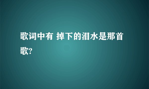 歌词中有 掉下的泪水是那首歌?