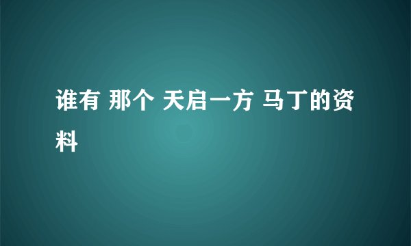 谁有 那个 天启一方 马丁的资料