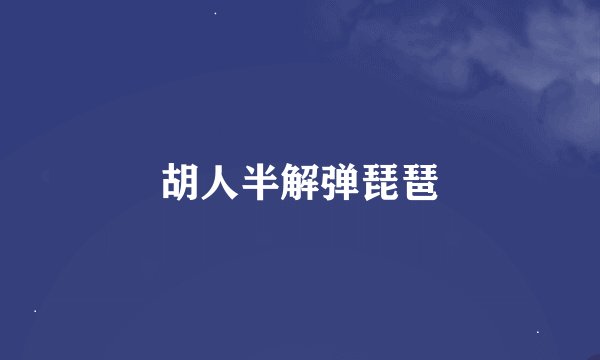 胡人半解弹琵琶