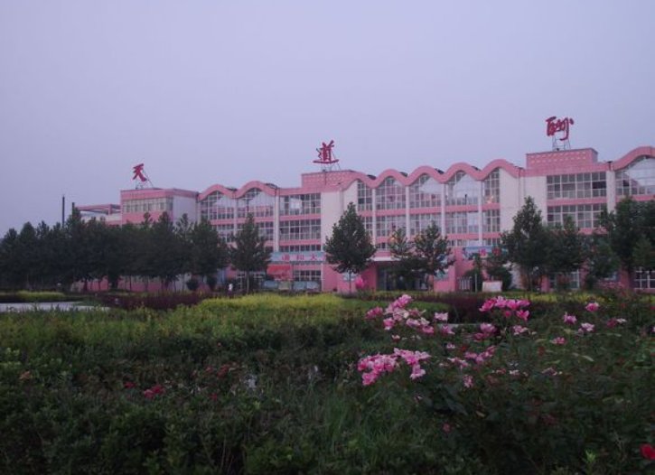 鸡泽一中在邯郸排名