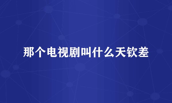 那个电视剧叫什么天钦差