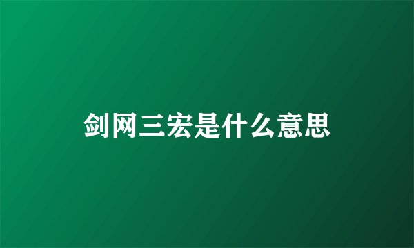 剑网三宏是什么意思