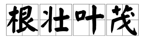 根壮叶茂是什么意思